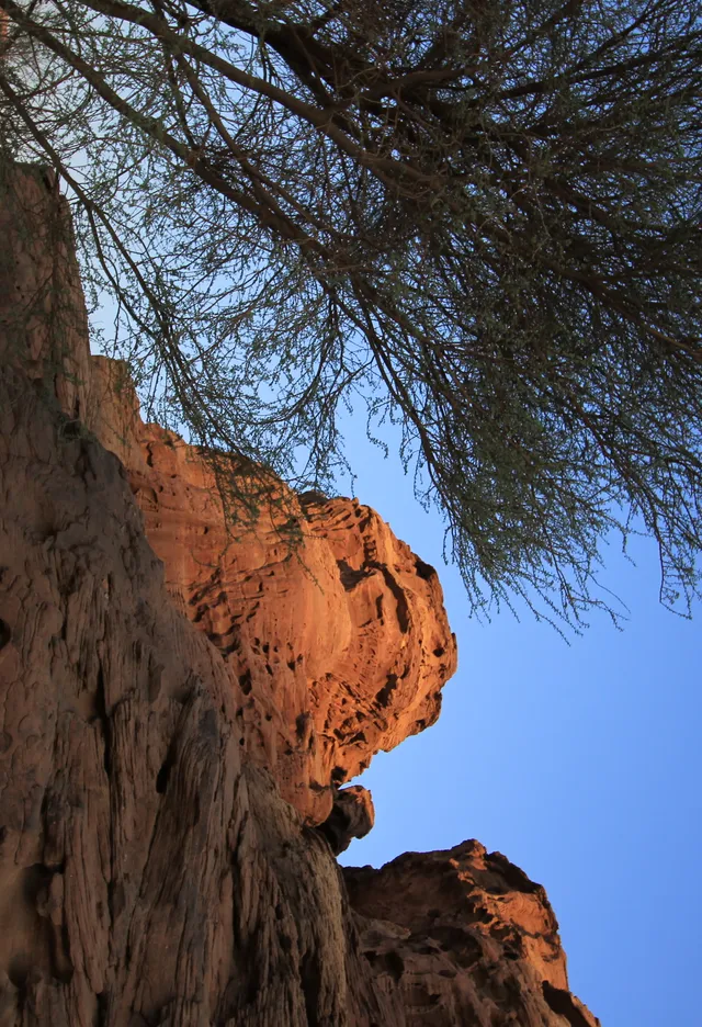 Rock outcrop in the AlUla landscape