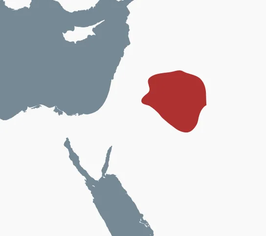 Map of the northern Arabian Peninsula and the Levant, with the basalt desert where Safaitic is attested highlighted in red.