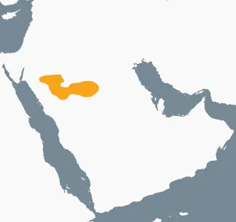 Map of the Arabian Peninsula with the region where Thamudic B is attested highlighted in orange.