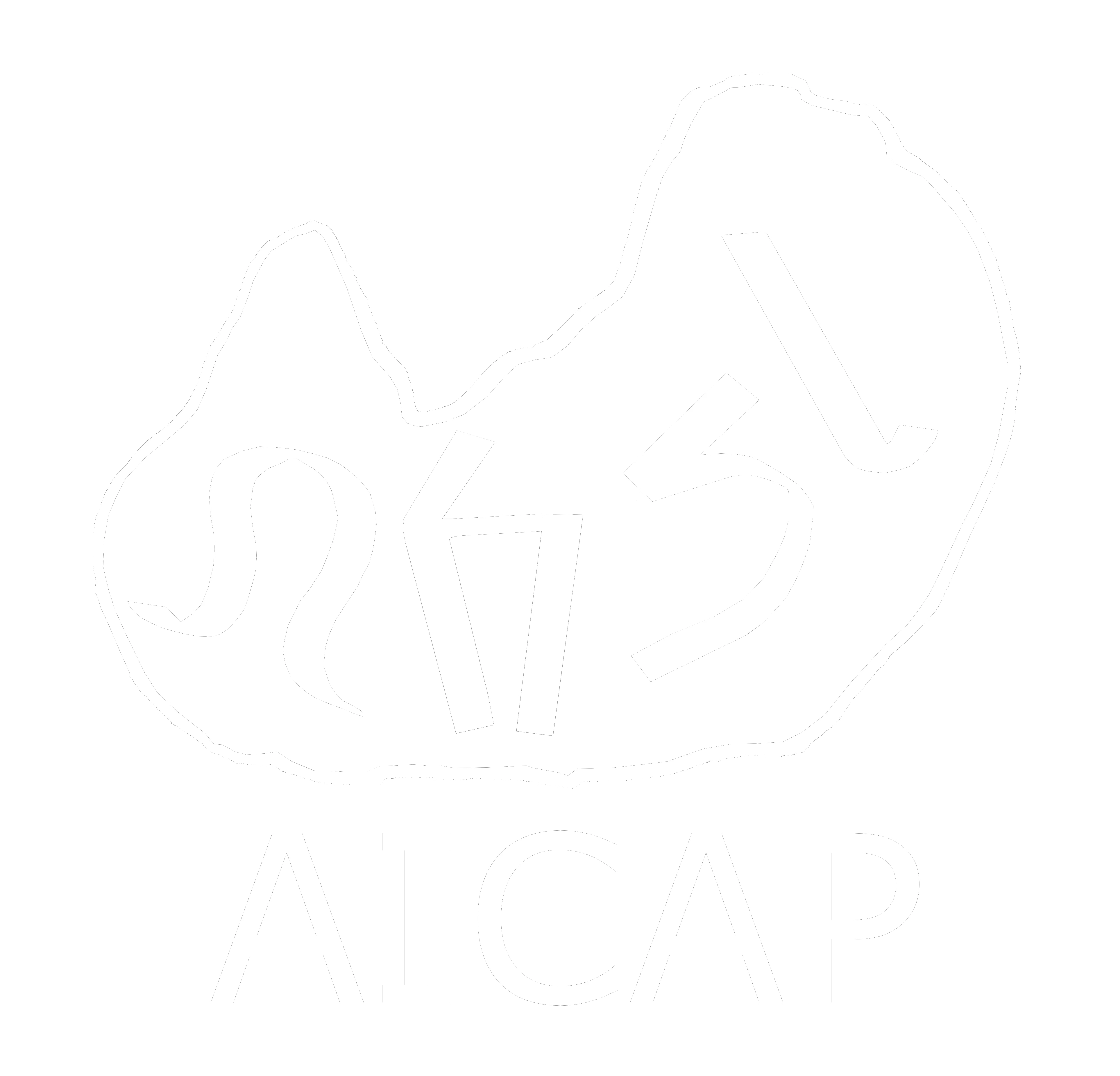 AICAP