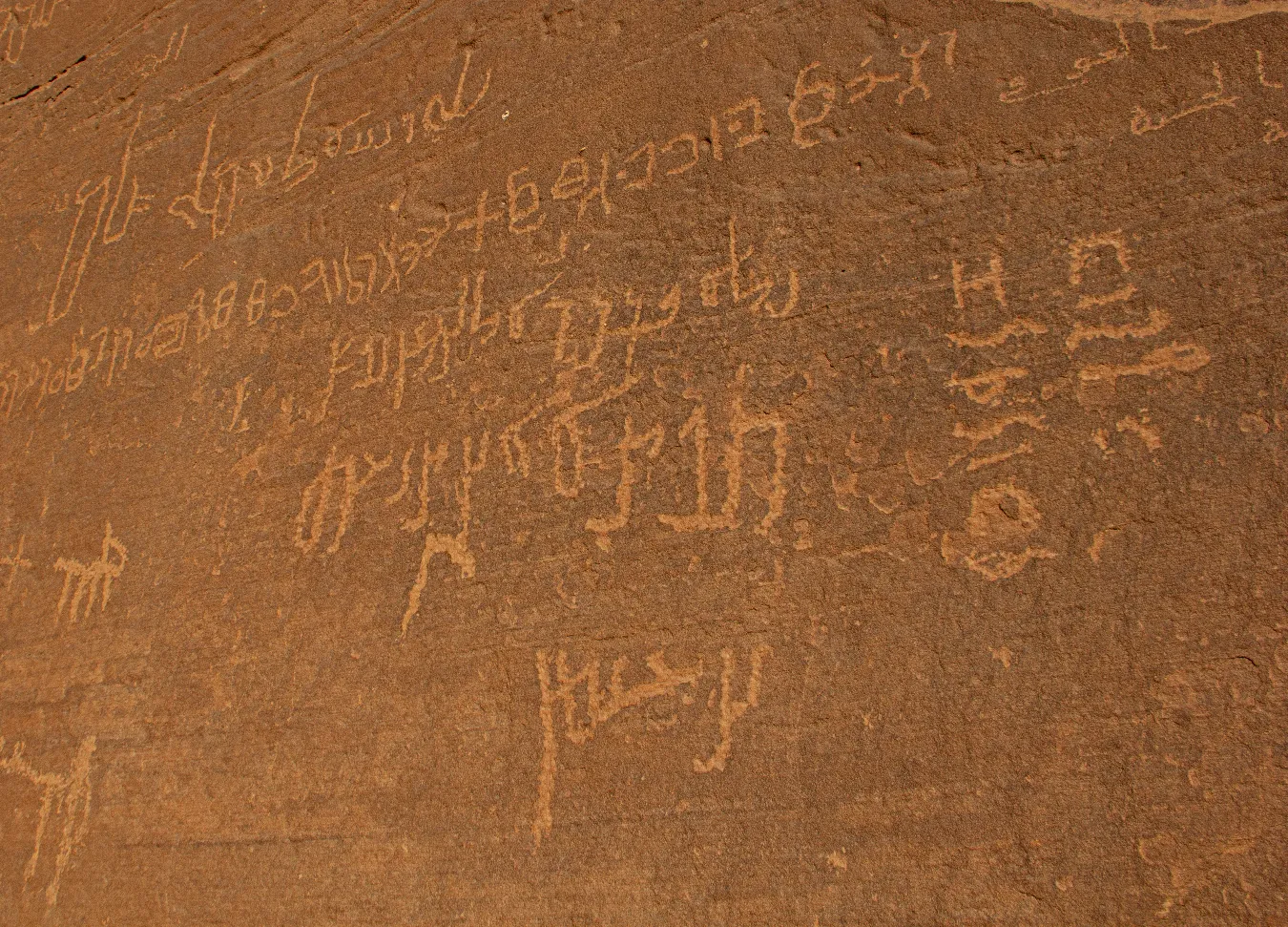A weathered sandstone face covered with many lines of Hismaic inscription and small animal figures.