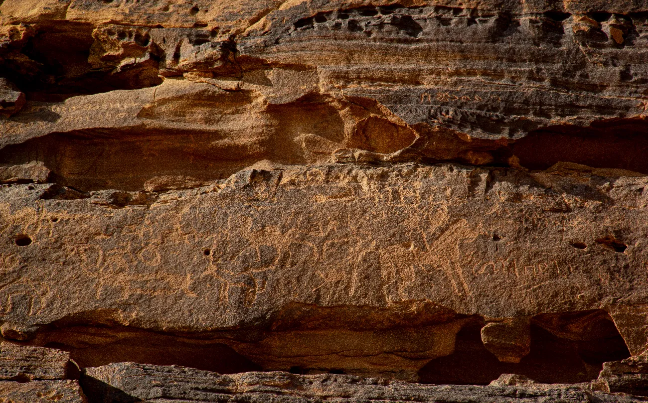A weathered sandstone cliff face carved with animal figures and a line of Thamudic B inscription.