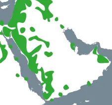 Map of the Arabian Peninsula with the areas where Arabic inscriptions are found highlighted in green.
