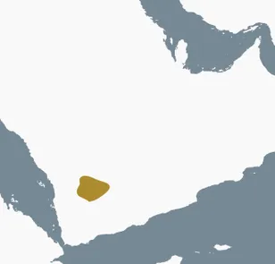 Map of the Arabian Peninsula with the Minaean heartland around Maʿīn highlighted in gold.