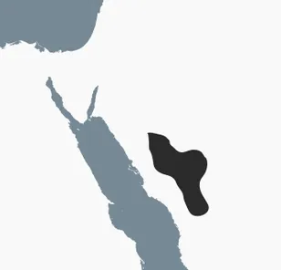 Map of the Arabian Peninsula with the region where Thamudic D is attested highlighted.