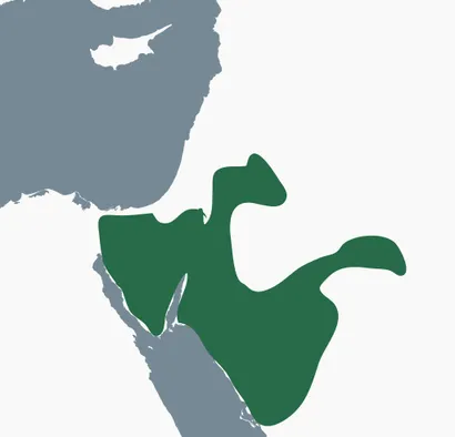 Map of the Levant and north-western Arabia with the extent of the Nabataean kingdom highlighted in green.