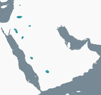 Map of the Arabian Peninsula and the Levant with Nabataeo-Arabic and Paleo-Arabic find spots marked in teal.