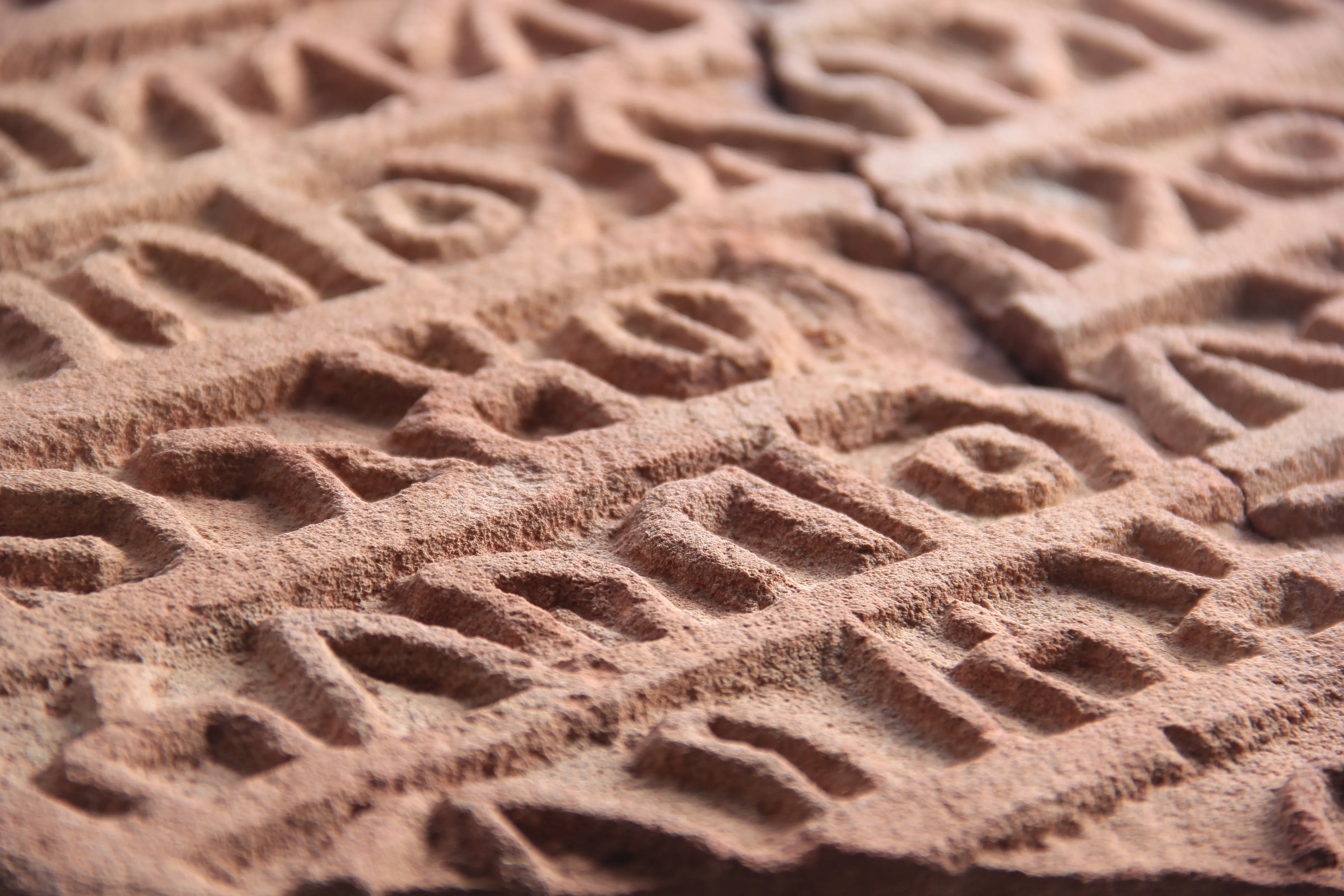 Close-up of deeply carved Dadanitic letters in red sandstone.